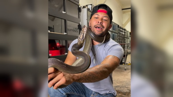 अजगर ने किया हमला, बाल-बाल बचा शख्स