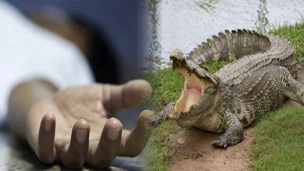 लोगों को डरा रहा वीडियो