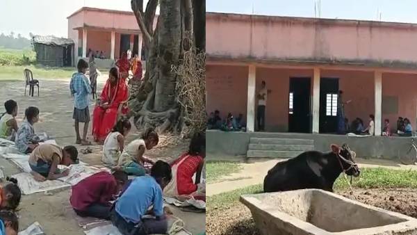 Government School basdhiya primary school musahri tola samastipur Government School basdhiya primary school musahri tola samastipur