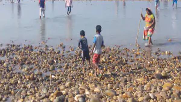 दुर्लभ पत्थर को पहचानने की कला