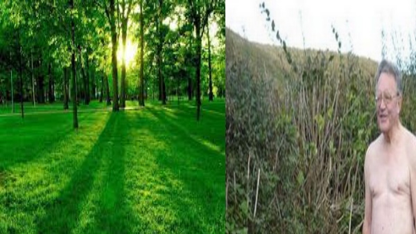 अब अपना ये शौक पूरा करने के लिए लेना चाहते हैं बगीचा 