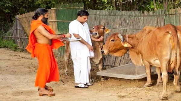 ज्यादा सोशलिज्म देखना है तो किम जोंग के पास जाएं