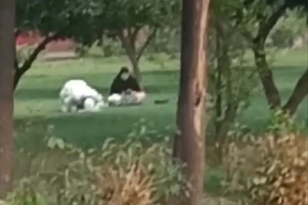 Taj Mahal: A Man and woman offering namaz at Tajs garden, Video goes viral, Agra ASI to probe