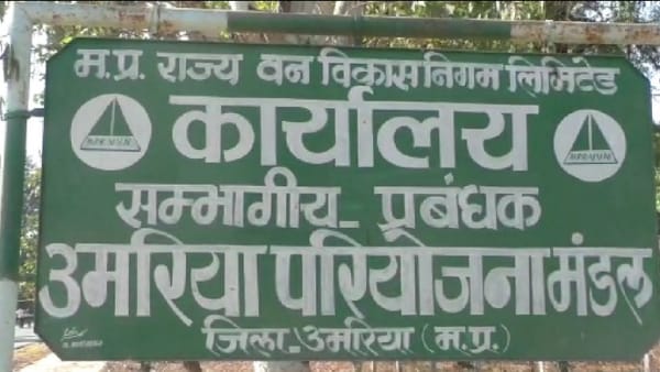 दोनों तरफ से हुई फायरिंग