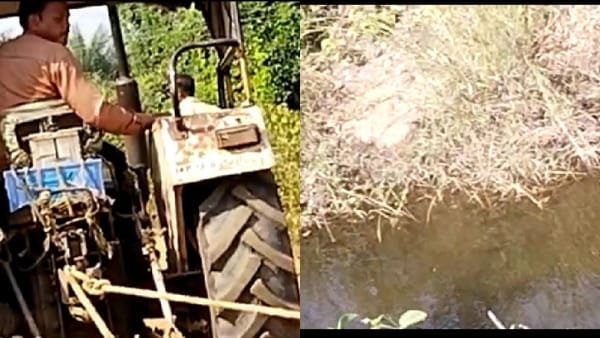 लकड़ी निकालने के लिए ट्रैक्टर का लिया गया सहारा