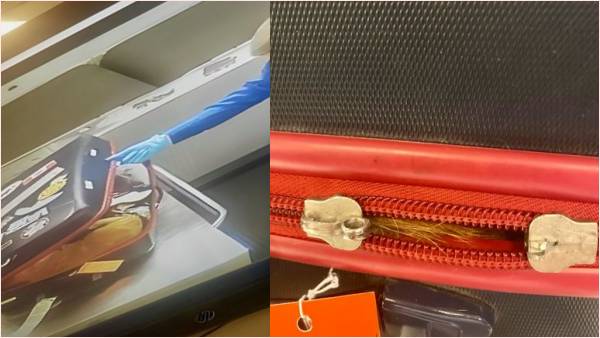 बिना बिल्ली के टिकट बुक की