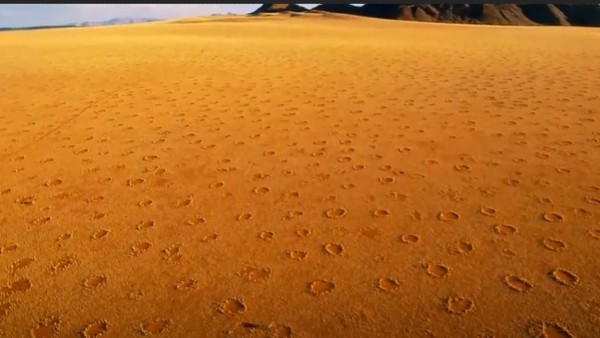 वैज्ञानिकों ने बताया कि ये सर्कल क्‍या हैं और क्‍यों हैं?