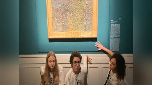 पेंटिंग्स के संरक्षण से अधिक जरूरी पृथ्वी का संरक्षण