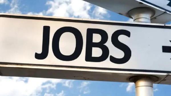 इन विभागों में सबसे ज्यादा वैकेंसी निकाली