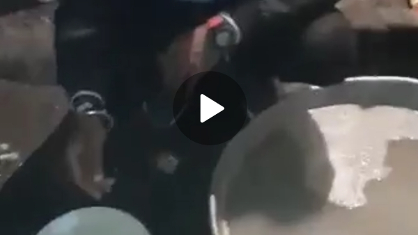 स्टूडेंट क्यों खाना खाने गया शादी में स्टूडेंट क्यों खाना खाने गया शादी में