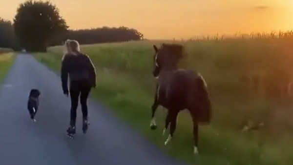 27 सेकेंड के इस वीडियो लोगों को खूब आ रही पसंद 