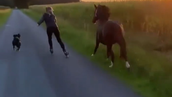 तीनों पक्‍के दोस्‍त जैसे आ रहे नजर 