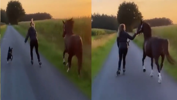  बॉन्डिंग देख खुश हो रहे लोग 