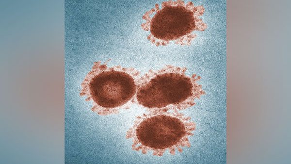 Zombie Virus के जिंदा होने से आने वाला है संकट