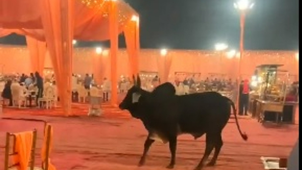 बिन बुलाया बराती