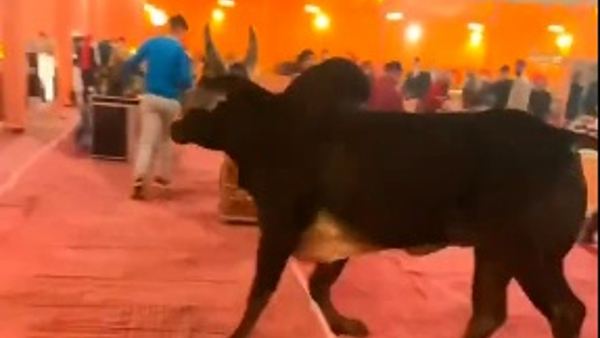 व्यवस्था को किया खराब