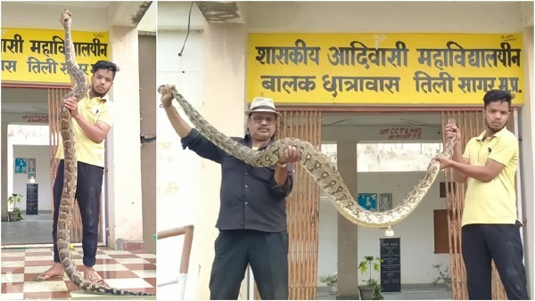 तीन महीने पहले भी बिल्ली को निकल गया था तीन महीने पहले भी बिल्ली को निकल गया था