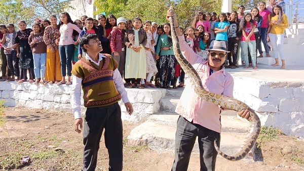 काफी फुर्तीला और तेज अजगर है काफी फुर्तीला और तेज अजगर है