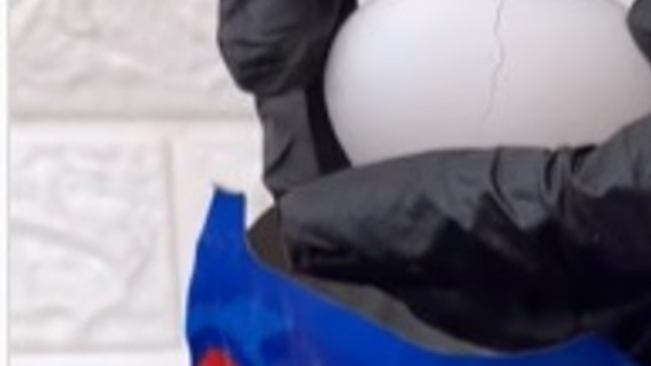 इन सामाग्री का करते हैं इस्तेमाल