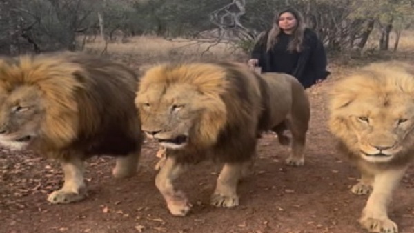 महिला बिल्कुल भी नहीं डर रही