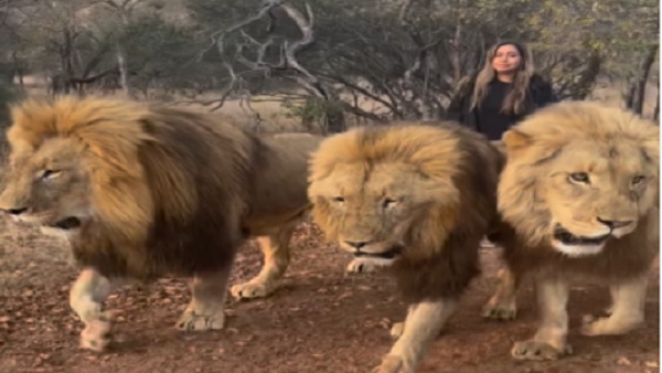 लाखों लोग देख चुके हैं वीडियो को