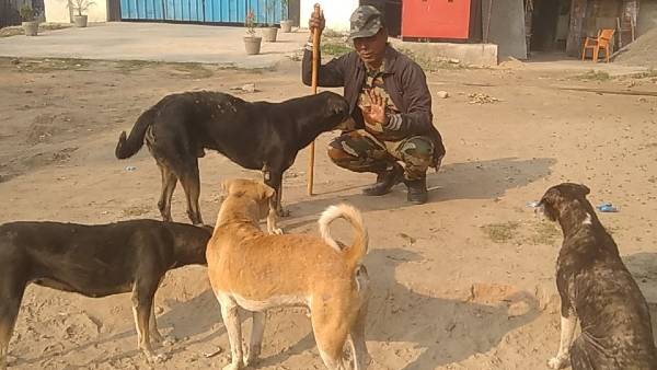 परिवार की तरह रखते हैं जानवरों का खयाल