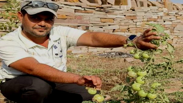 8 एकड़ जमीन में सब्जियों की खेती की शुरुआत 8 एकड़ जमीन में सब्जियों की खेती की शुरुआत