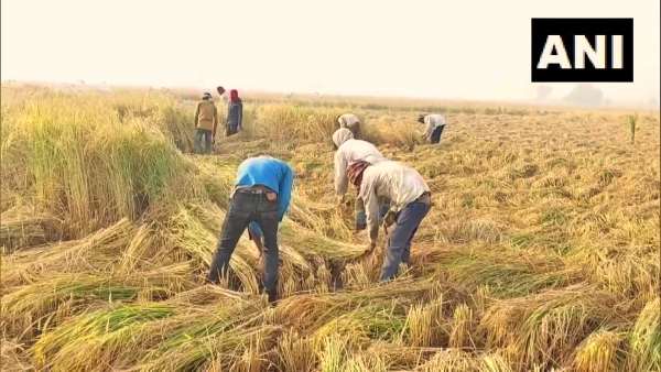 अब तक का रिकॉर्ड उत्पादन