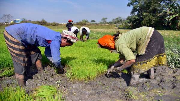PM KISAN योजना से किसानों की इनकम