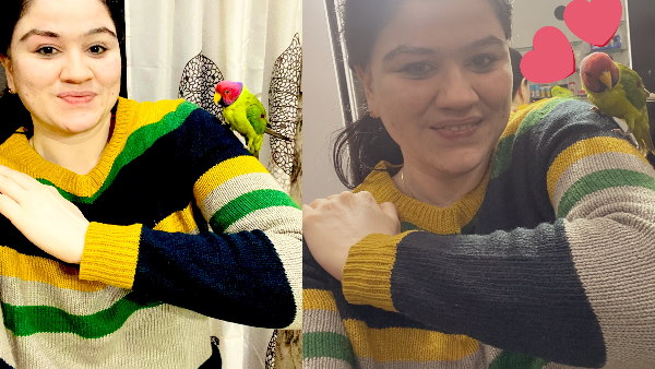  पालतू पक्षियों से बहुत लगाव