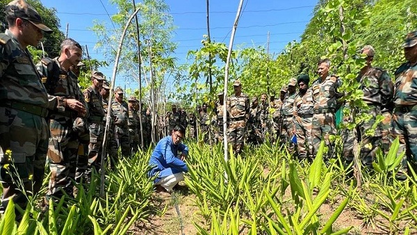 सेना ने सीखी मल्टीलेयर फॉर्मिंग, खाली जमीन पर लगाएंगे फसल