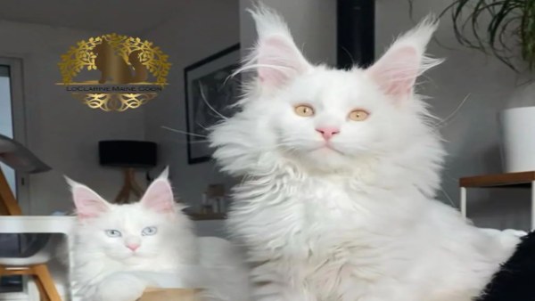 लगती है अधिक भूख