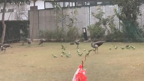 prahlad singh patel prahlad singh patel