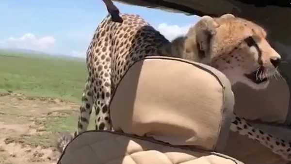 कहां का है वीडियो? कहां का है वीडियो?