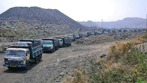 कोयले में बीते जमाने की पूरी लाइफ-हिस्ट्री मिलती है कोयले में बीते जमाने की पूरी लाइफ-हिस्ट्री मिलती है