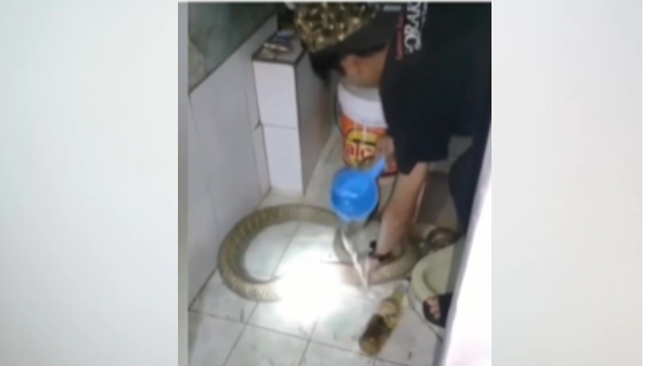 लोगों ने कही ये बात