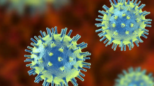 'एथोस की अब तक की भविष्यवाणी निकली सटीक'