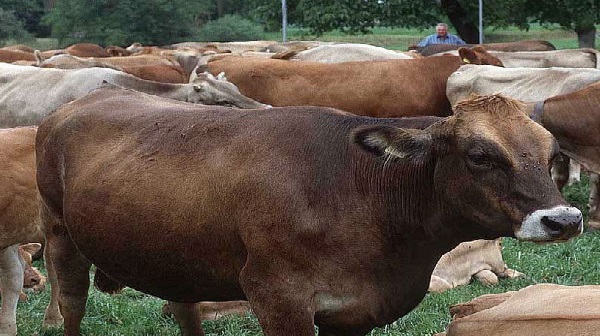 डॉक्टरों ने नहीं थी इतना कचरा निकलने की उम्मीद