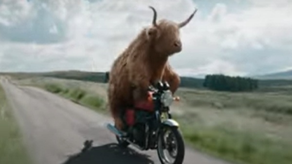 ऐसे बनी तस्वीर ऐसे बनी तस्वीर