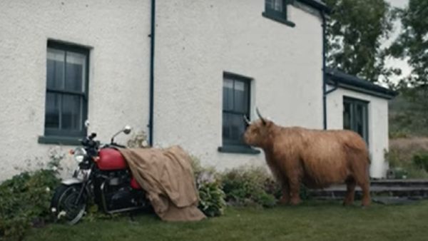 कहां की है ये खास तस्वीरें? कहां की है ये खास तस्वीरें?