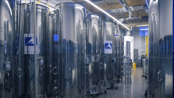 जानें कैसे फ्रीज करते हैं बॉडी