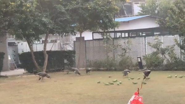 prahlad singh patel prahlad singh patel