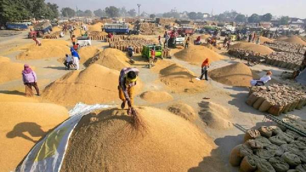 प्रदेश में 25 लाख किसानो ने कराया था पंजीयन