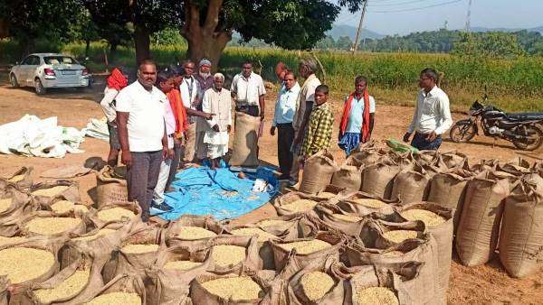 प्रदेश में अब तक 41 लाख मीट्रिक टन धान की खरीदी