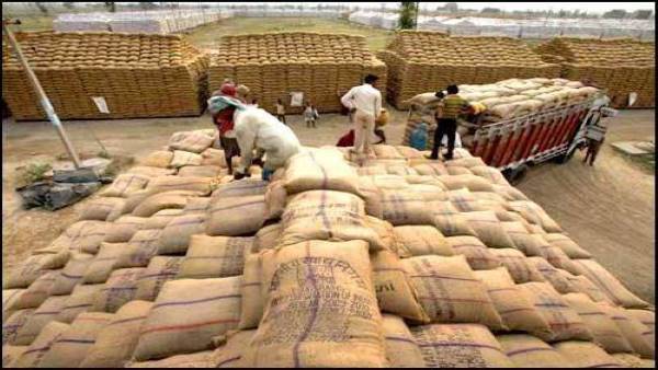 22 लाख मीट्रिक टन धान का उठाव किया गया