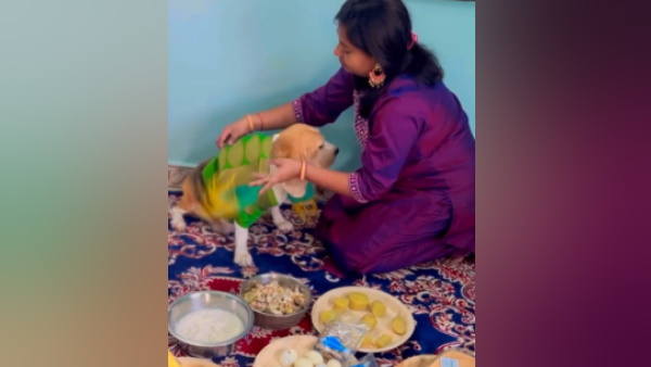 फीमेल डॉग का विधि विधान से बेबी शॉवर