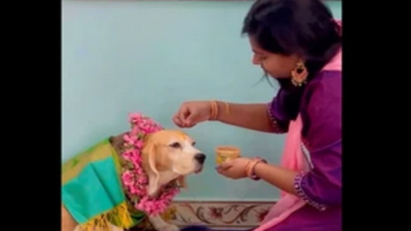 चुन्‍नी लपेट कर गले में माला और हाथ में कंगन पहनाकर लगाया कुमकुम 
