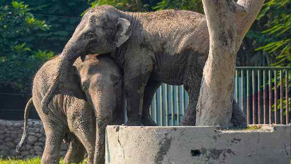 IAS अफसर ने 5 प्वाइंट में दिया जीवन का संदेश IAS अफसर ने 5 प्वाइंट में दिया जीवन का संदेश