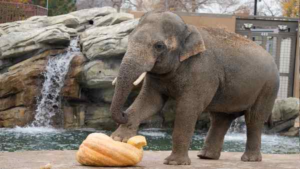 कई यूजर्स ने भी नए संदेश जोड़ने की कोशिश की है कई यूजर्स ने भी नए संदेश जोड़ने की कोशिश की है