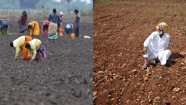 ..तो मटर का उत्पादन ही बंद कर देंगे ..तो मटर का उत्पादन ही बंद कर देंगे